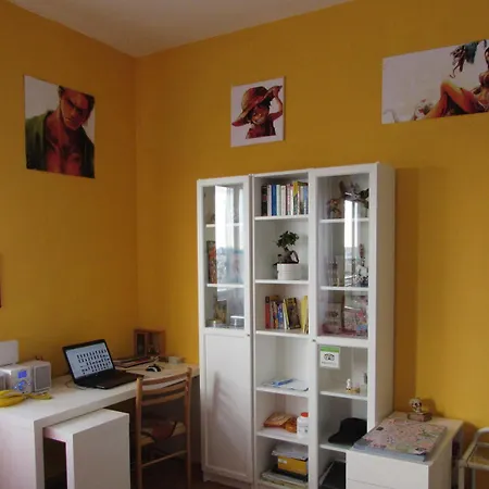 بيت شباب Thousand Sunny *